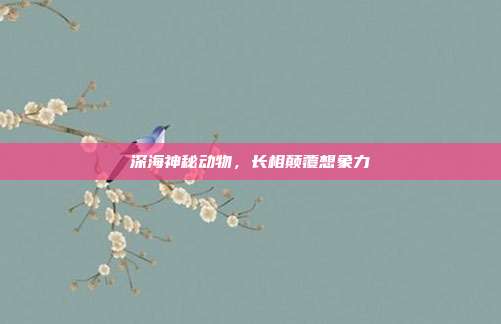深海神秘动物，长相颠覆想象力