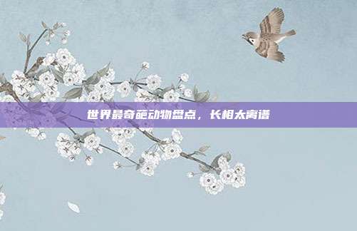 世界最奇葩动物盘点，长相太离谱
