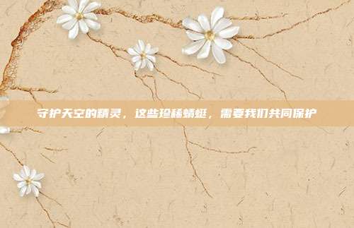 守护天空的精灵，这些珍稀蜻蜓，需要我们共同保护