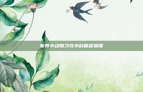 家养小动物习性小科普超易懂