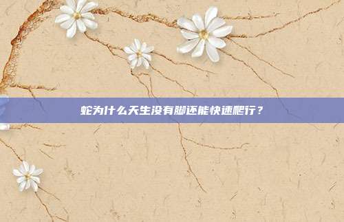 蛇为什么天生没有脚还能快速爬行？