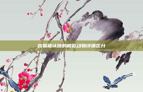 容易被认错的相似动物详细区分
