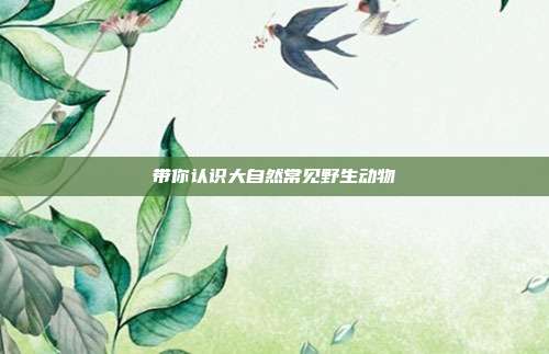 带你认识大自然常见野生动物