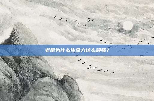 老鼠为什么生命力这么顽强？