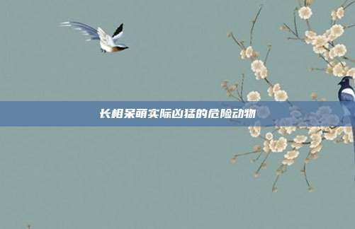 长相呆萌实际凶猛的危险动物