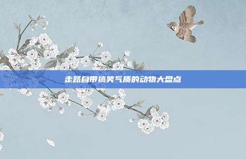 走路自带搞笑气质的动物大盘点