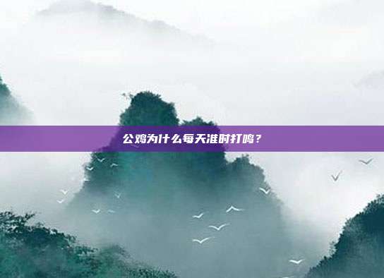 公鸡为什么每天准时打鸣？