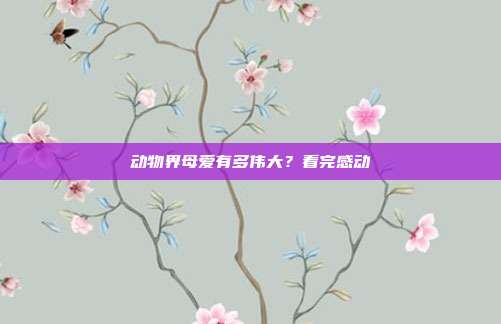 动物界母爱有多伟大？看完感动