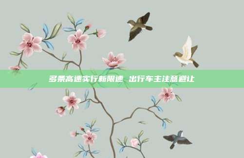 多条高速实行新限速 出行车主注意避让