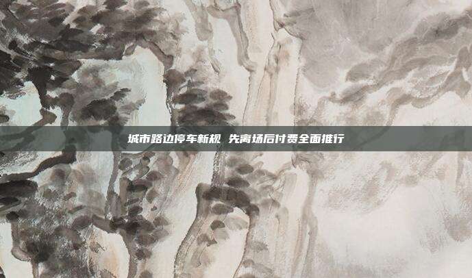 城市路边停车新规 先离场后付费全面推行