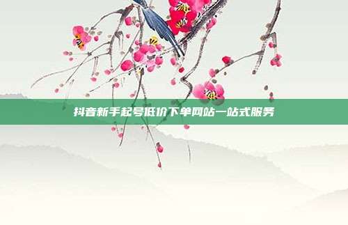 抖音新手起号低价下单网站一站式服务