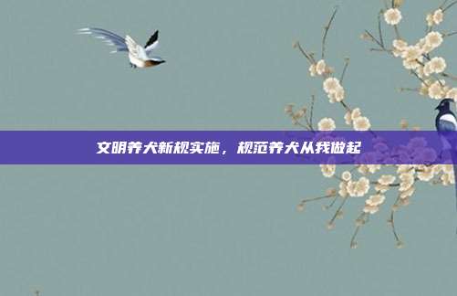 文明养犬新规实施，规范养犬从我做起