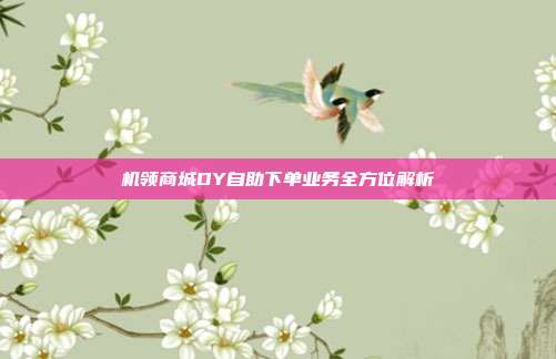 机领商城DY自助下单业务全方位解析