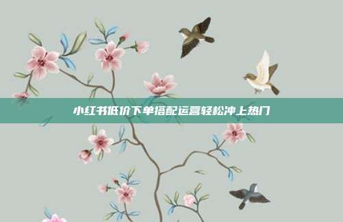 小红书低价下单搭配运营轻松冲上热门