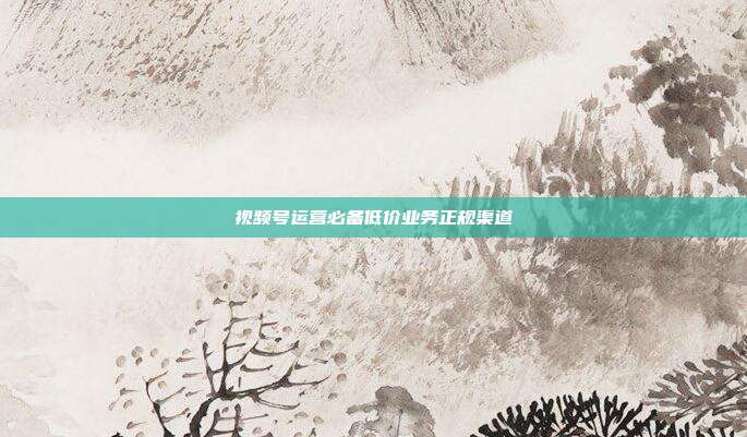视频号运营必备低价业务正规渠道