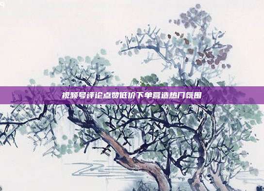 视频号评论点赞低价下单营造热门氛围