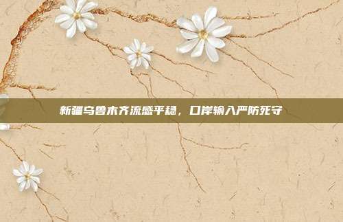新疆乌鲁木齐流感平稳，口岸输入严防死守