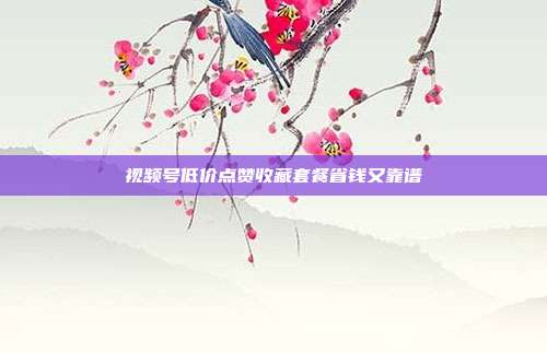 视频号低价点赞收藏套餐省钱又靠谱