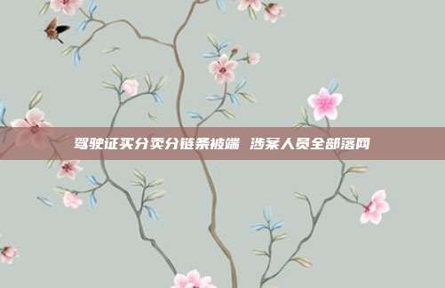 驾驶证买分卖分链条被端 涉案人员全部落网