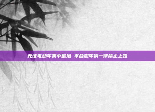 无证电动车集中整治 不合规车辆一律禁止上路