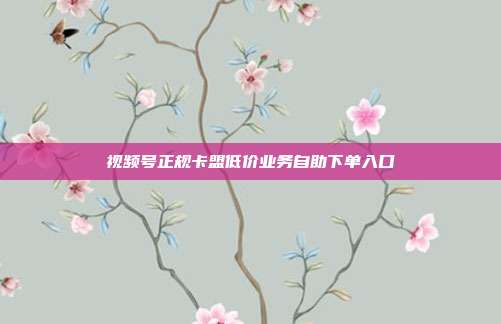 视频号正规卡盟低价业务自助下单入口