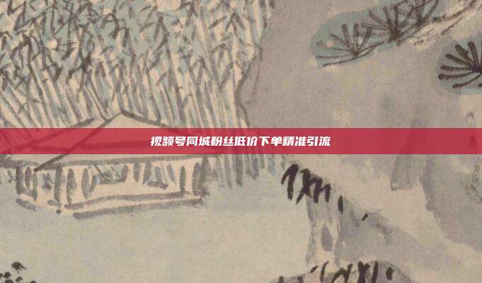 视频号同城粉丝低价下单精准引流