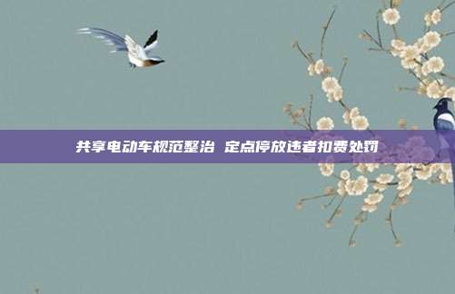 共享电动车规范整治 定点停放违者扣费处罚