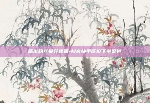 精准粉丝提升权重-抖音快手低价下单渠道