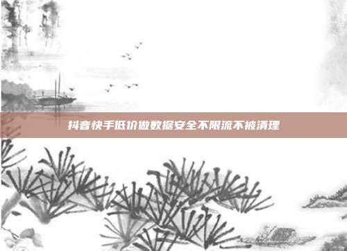 抖音快手低价做数据安全不限流不被清理