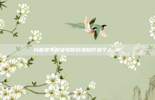 抖音快手创业号低价涨粉打造个人-IP