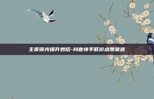 主页曝光提升妙招-抖音快手低价点赞渠道