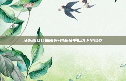 活跃粉丝长期留存-抖音快手低价下单推荐