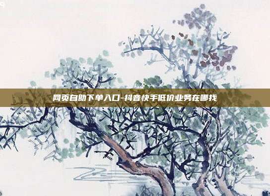网页自助下单入口-抖音快手低价业务在哪找