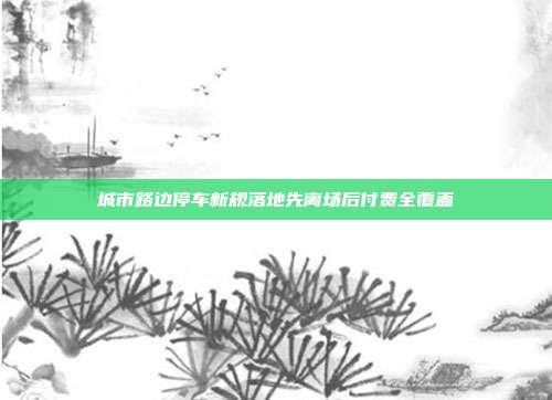 城市路边停车新规落地先离场后付费全覆盖