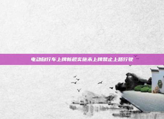 电动自行车上牌新规实施未上牌禁止上路行驶