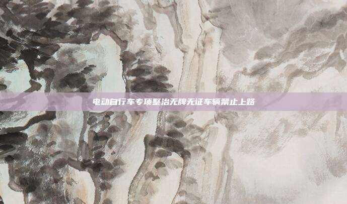 电动自行车专项整治无牌无证车辆禁止上路