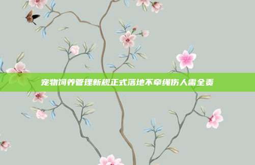 宠物饲养管理新规正式落地不牵绳伤人需全责