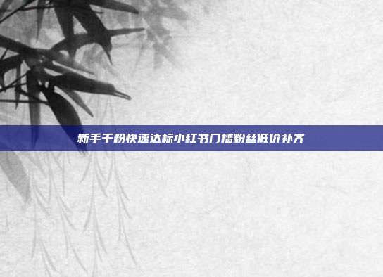 新手千粉快速达标小红书门槛粉丝低价补齐