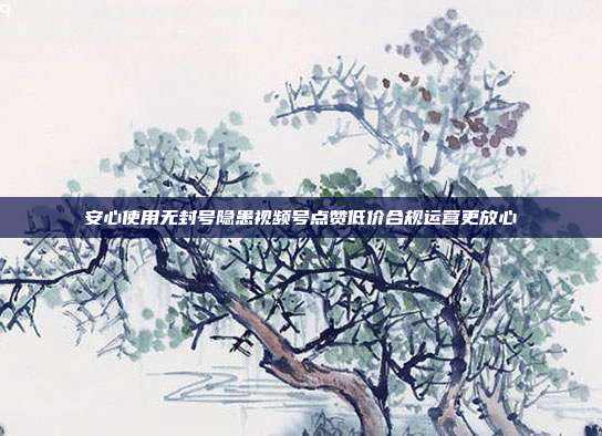 安心使用无封号隐患视频号点赞低价合规运营更放心