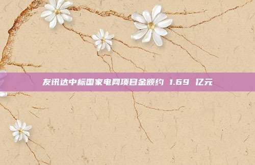 友讯达中标国家电网项目金额约 1.69 亿元