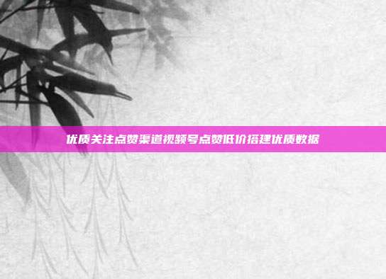 优质关注点赞渠道视频号点赞低价搭建优质数据