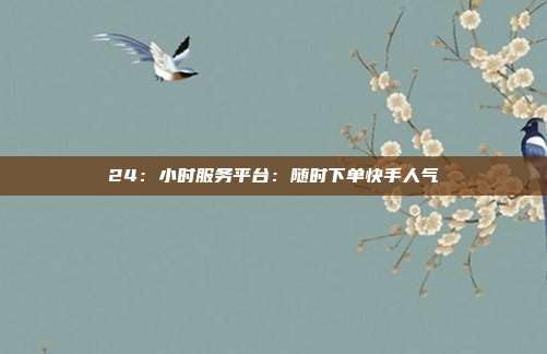 24：小时服务平台：随时下单快手人气