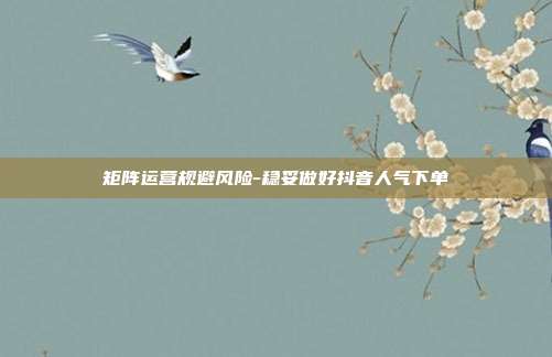 矩阵运营规避风险-稳妥做好抖音人气下单