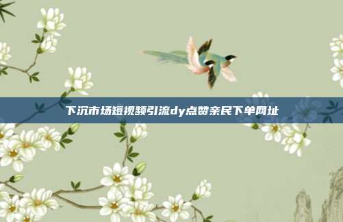 下沉市场短视频引流dy点赞亲民下单网址