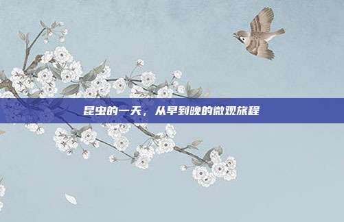 昆虫的一天,从早到晚的微观旅程