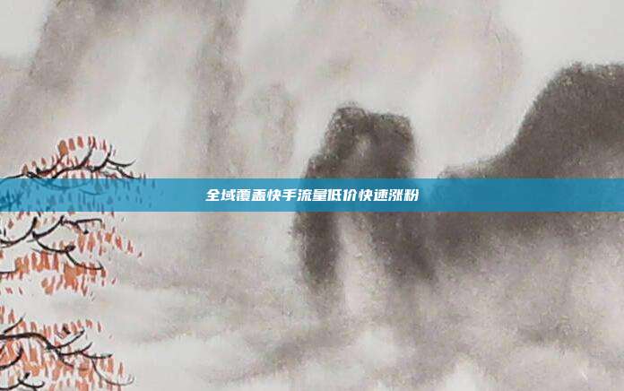 全域覆盖快手流量低价快速涨粉