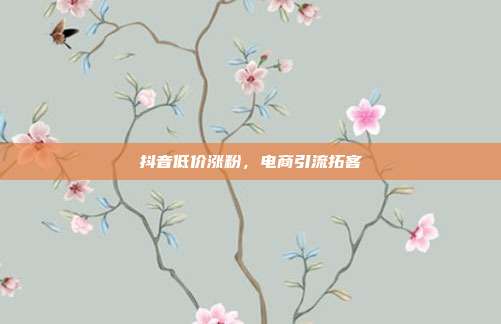 抖音低价涨粉，电商引流拓客
