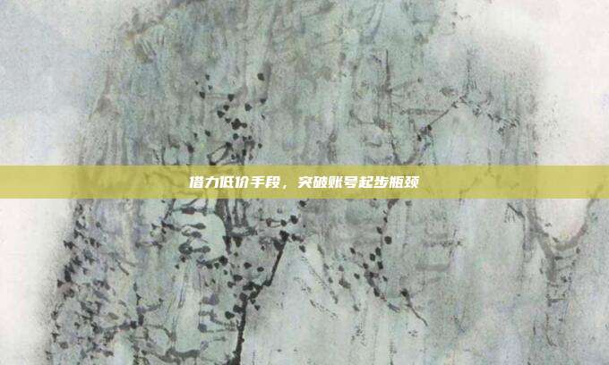 借力低价手段，突破账号起步瓶颈
