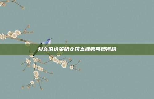 抖音低价策略实现高端账号稳涨粉