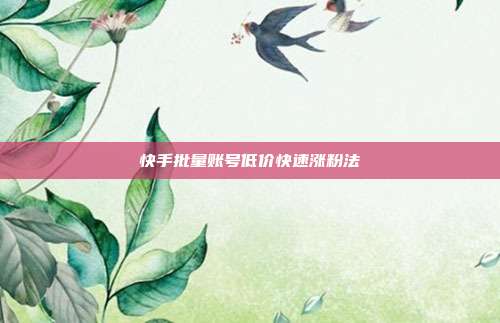 快手批量账号低价快速涨粉法